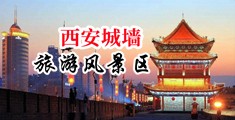 大鸡b插逼中国陕西-西安城墙旅游风景区